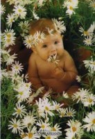 /album/fotogalerie-uvodna-stranka1/imagescau93bd4-jpg/