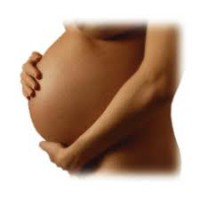 /album/foto/a01-jpg/