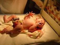 /album/fotogalerie-tehotenstvo-a-porod/novorodenec-jpg/